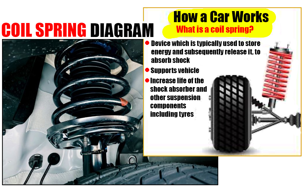 Coil Spring Diagram